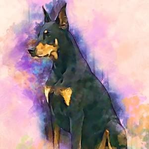 Meet your Posher, Sandy